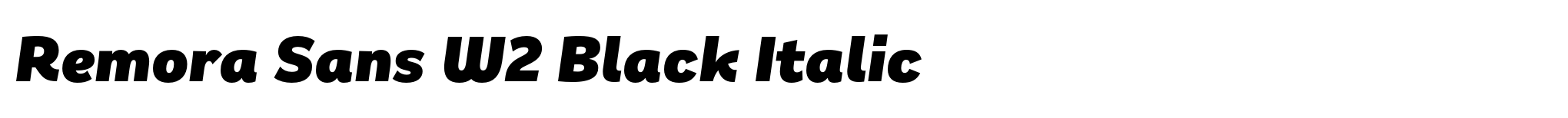 Remora Sans W2 Black Italic image